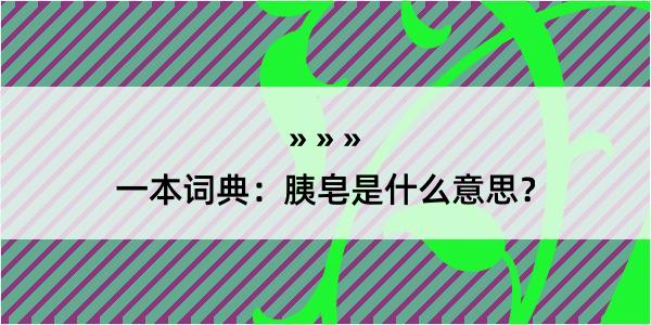 一本词典：胰皂是什么意思？