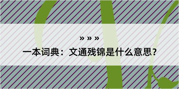 一本词典：文通残锦是什么意思？