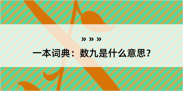 一本词典：数九是什么意思？