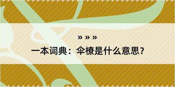 一本词典：伞橑是什么意思？