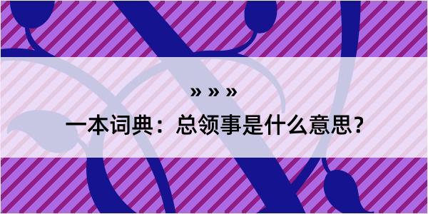 一本词典：总领事是什么意思？