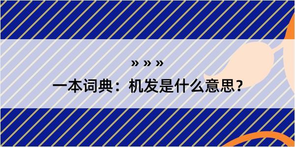 一本词典：机发是什么意思？