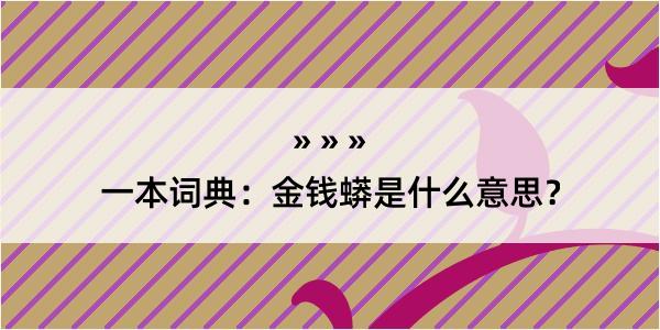 一本词典：金钱蟒是什么意思？