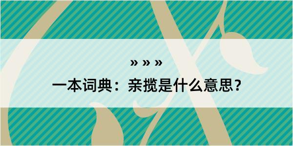 一本词典：亲揽是什么意思？