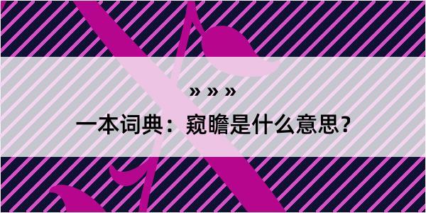 一本词典：窥瞻是什么意思？