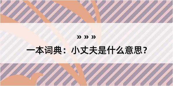 一本词典：小丈夫是什么意思？