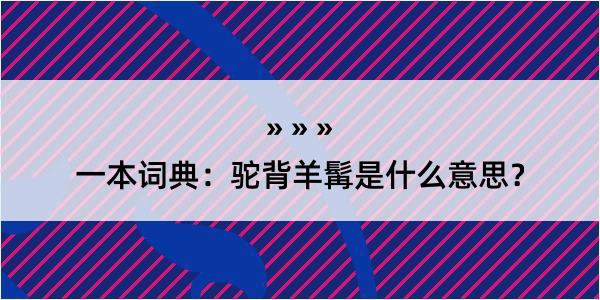 一本词典：驼背羊髯是什么意思？