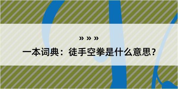 一本词典：徒手空拳是什么意思？