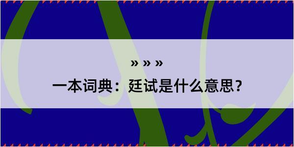 一本词典：廷试是什么意思？