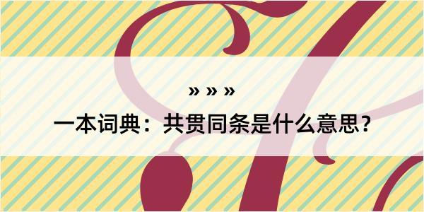 一本词典：共贯同条是什么意思？