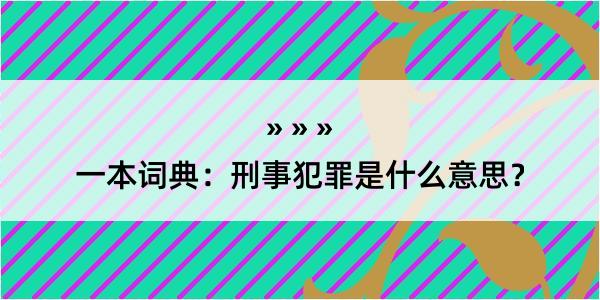 一本词典：刑事犯罪是什么意思？