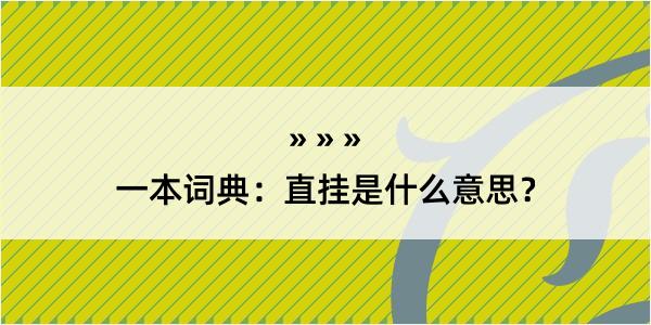 一本词典：直挂是什么意思？