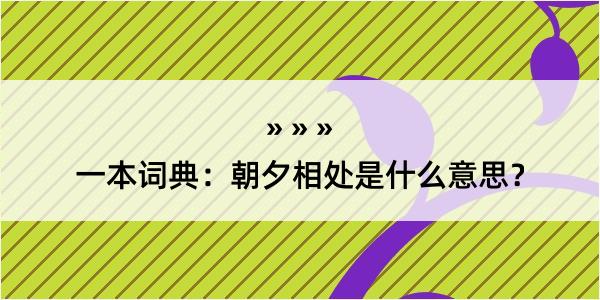 一本词典：朝夕相处是什么意思？