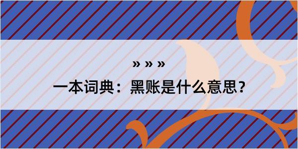 一本词典：黑账是什么意思？