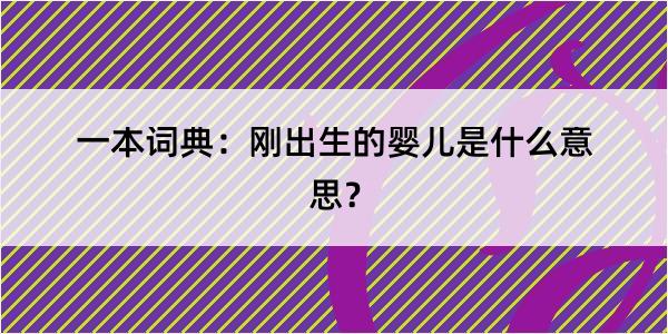 一本词典：刚出生的婴儿是什么意思？