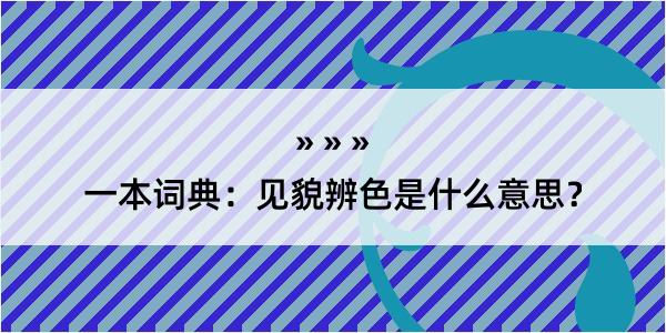 一本词典：见貌辨色是什么意思？