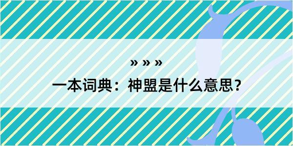 一本词典：神盟是什么意思？