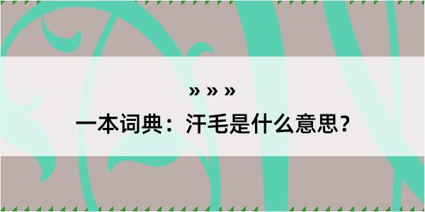 一本词典：汗毛是什么意思？