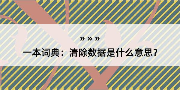 一本词典：清除数据是什么意思？