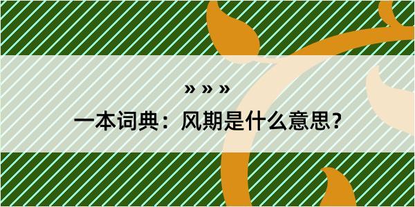 一本词典：风期是什么意思？