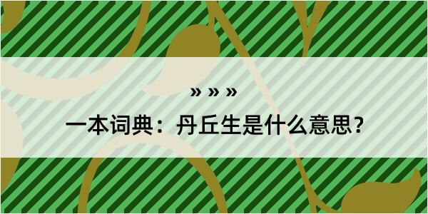 一本词典：丹丘生是什么意思？