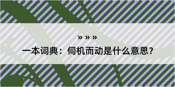 一本词典：伺机而动是什么意思？