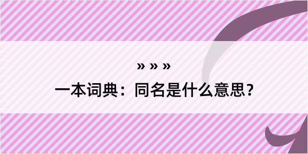 一本词典：同名是什么意思？