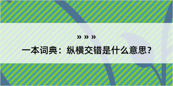 一本词典：纵横交错是什么意思？