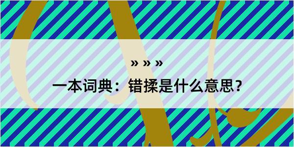 一本词典：错揉是什么意思？