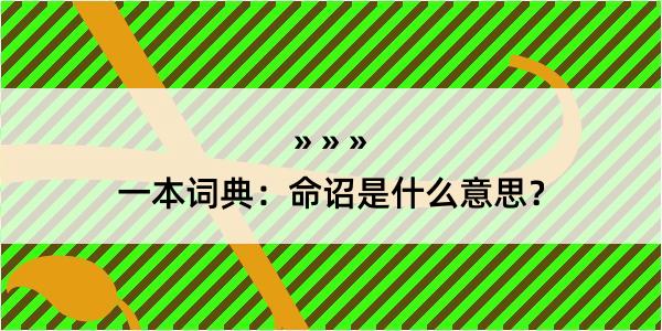 一本词典：命诏是什么意思？