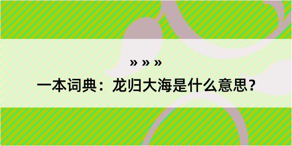 一本词典：龙归大海是什么意思？