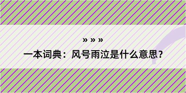 一本词典：风号雨泣是什么意思？