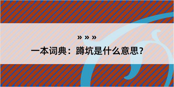 一本词典：蹲坑是什么意思？