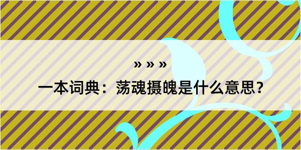 一本词典：荡魂摄魄是什么意思？