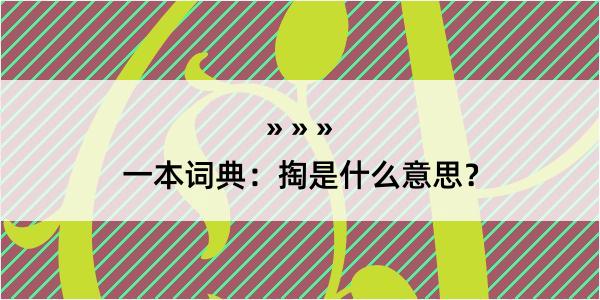 一本词典：掏是什么意思？