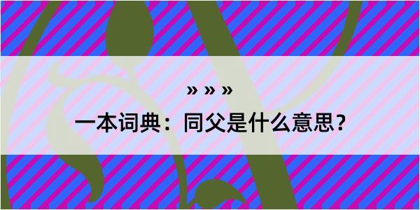 一本词典：同父是什么意思？