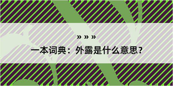 一本词典：外露是什么意思？