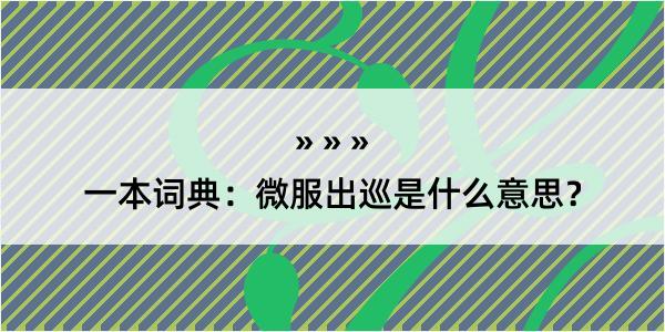 一本词典：微服出巡是什么意思？