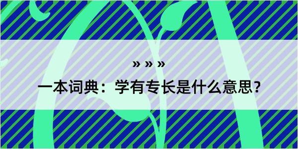 一本词典：学有专长是什么意思？