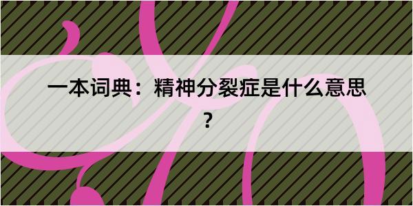 一本词典：精神分裂症是什么意思？