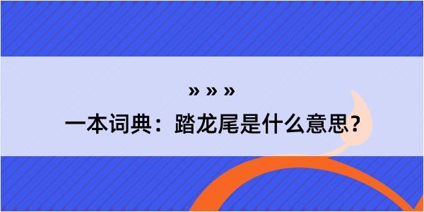 一本词典：踏龙尾是什么意思？