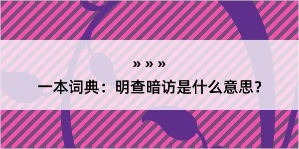 一本词典：明查暗访是什么意思？