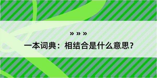 一本词典：相结合是什么意思？