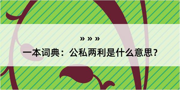 一本词典：公私两利是什么意思？