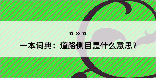 一本词典：道路侧目是什么意思？