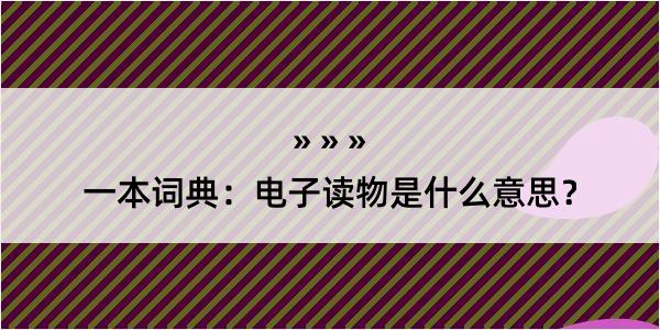 一本词典：电子读物是什么意思？