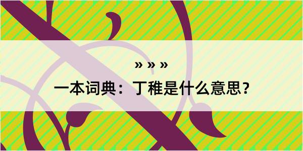 一本词典：丁稚是什么意思？