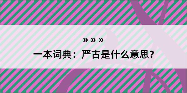 一本词典：严古是什么意思？