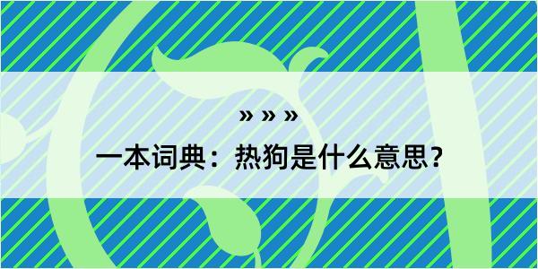 一本词典：热狗是什么意思？