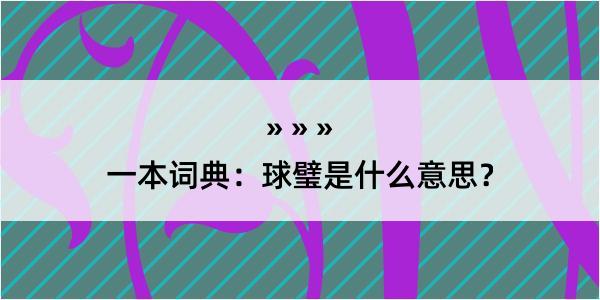 一本词典：球璧是什么意思？